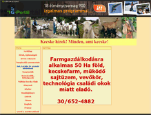 Tablet Screenshot of akecske.gportal.hu