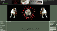 Desktop Screenshot of amerikaibulldog.gportal.hu