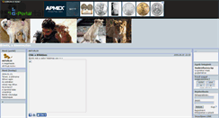 Desktop Screenshot of bombi.gportal.hu