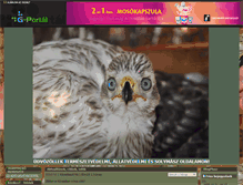 Tablet Screenshot of bercesjanos.gportal.hu
