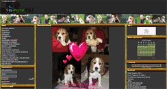 Desktop Screenshot of hatarszelihuncut.gportal.hu