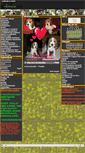 Mobile Screenshot of hatarszelihuncut.gportal.hu