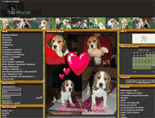 Tablet Screenshot of hatarszelihuncut.gportal.hu