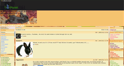 Desktop Screenshot of kino-nyuszi.gportal.hu