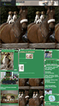 Mobile Screenshot of pacik.gportal.hu