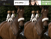 Tablet Screenshot of pacik.gportal.hu