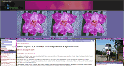 Desktop Screenshot of btrudy.gportal.hu