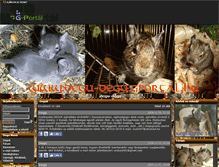 Tablet Screenshot of degu-degu.gportal.hu