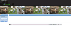 Desktop Screenshot of amerikaibulldogklub.gportal.hu