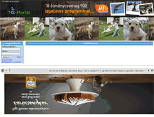 Tablet Screenshot of amerikaibulldogklub.gportal.hu