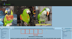 Desktop Screenshot of papagajnevelde.gportal.hu