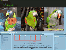 Tablet Screenshot of papagajnevelde.gportal.hu