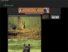 Tablet Screenshot of hbj.gportal.hu
