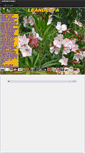 Mobile Screenshot of leanderfa.gportal.hu
