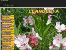 Tablet Screenshot of leanderfa.gportal.hu