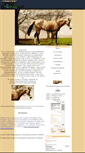 Mobile Screenshot of lovakponikescsikok.gportal.hu