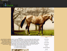Tablet Screenshot of lovakponikescsikok.gportal.hu
