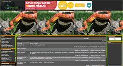 Desktop Screenshot of gabonasiklo.gportal.hu