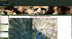 Desktop Screenshot of lillapava.gportal.hu