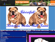 Tablet Screenshot of carlinobulls.gportal.hu