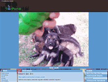 Tablet Screenshot of blut-wolf.gportal.hu