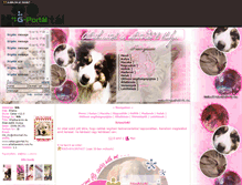 Tablet Screenshot of catss.gportal.hu