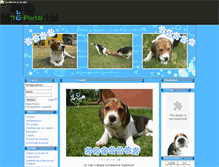 Tablet Screenshot of beagle-paradise.gportal.hu