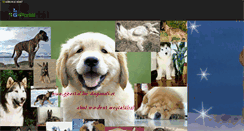 Desktop Screenshot of dogandkat.gportal.hu