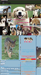 Mobile Screenshot of dogandkat.gportal.hu