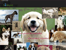 Tablet Screenshot of dogandkat.gportal.hu