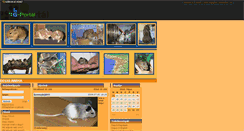 Desktop Screenshot of deusmaximus.gportal.hu