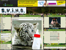 Tablet Screenshot of knf-swine.gportal.hu